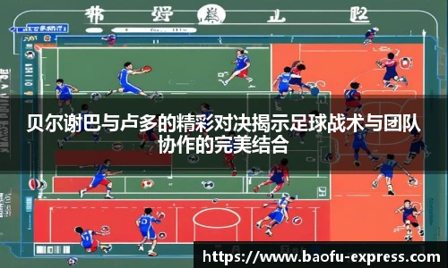 vsport体育
